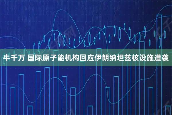 牛千万 国际原子能机构回应伊朗纳坦兹核设施遭袭