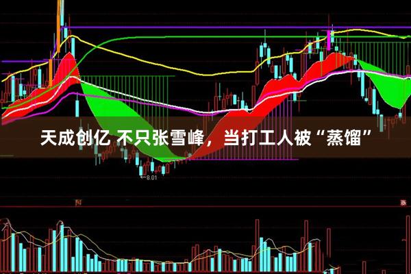 天成创亿 不只张雪峰，当打工人被“蒸馏”