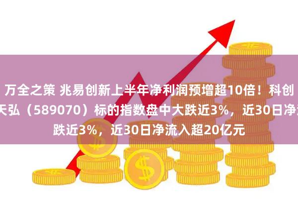 万全之策 兆易创新上半年净利润预增超10倍!科创芯片设计ETF天弘(589070)标的指数盘中大跌近3%,近30日净流入超20亿元