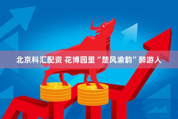 北京科汇配资 花博园里“楚风渝韵”醉游人